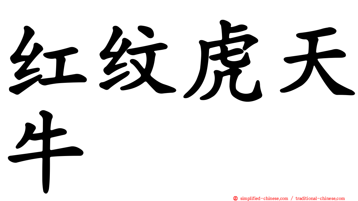 红纹虎天牛