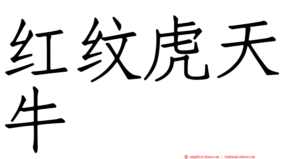 红纹虎天牛