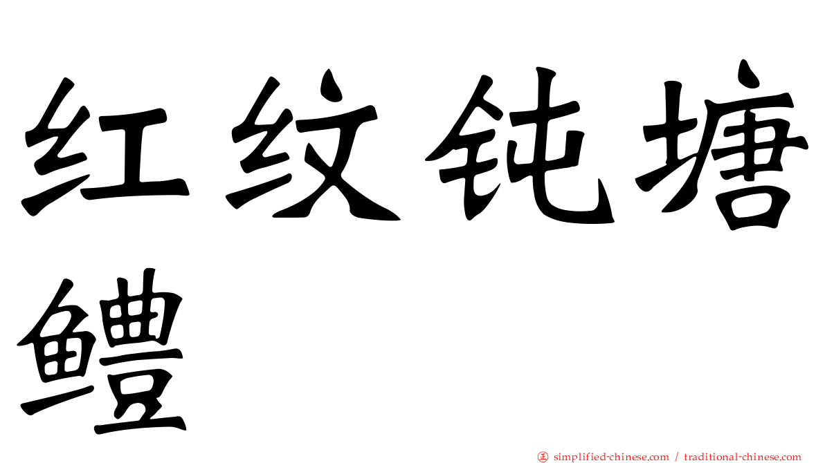 红纹钝塘鳢