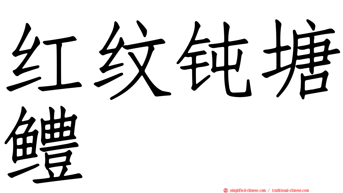红纹钝塘鳢