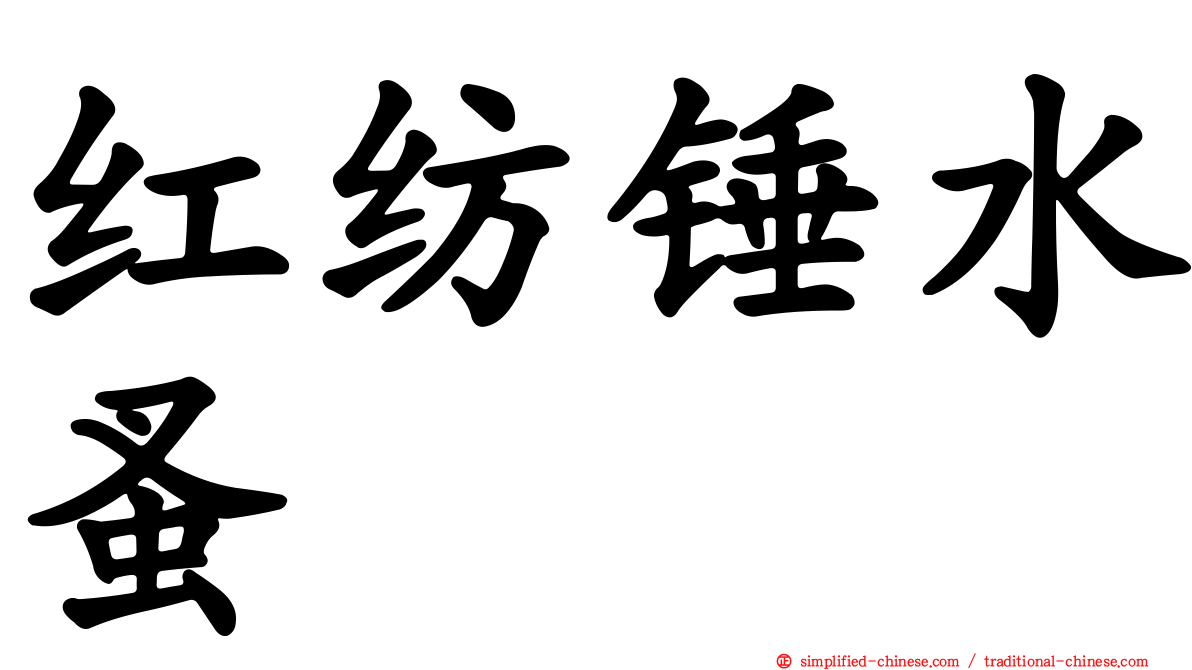 红纺锤水蚤