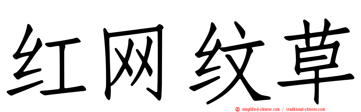 红网纹草