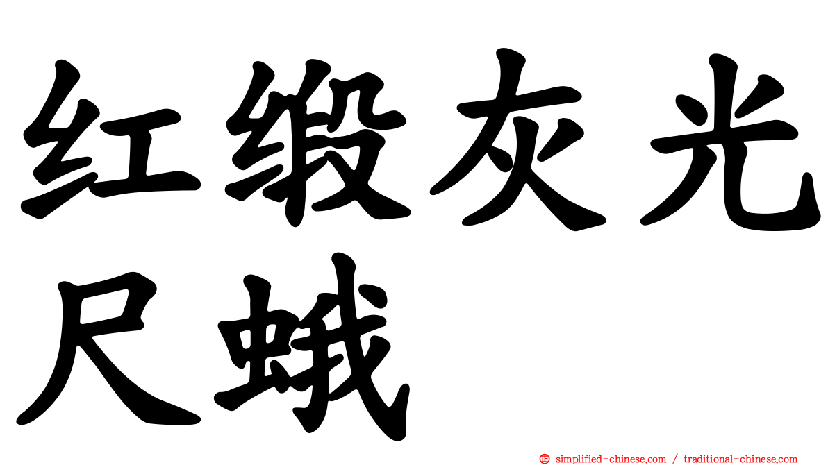 红缎灰光尺蛾