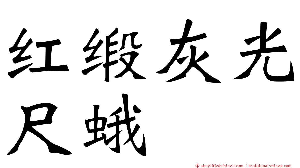 红缎灰光尺蛾
