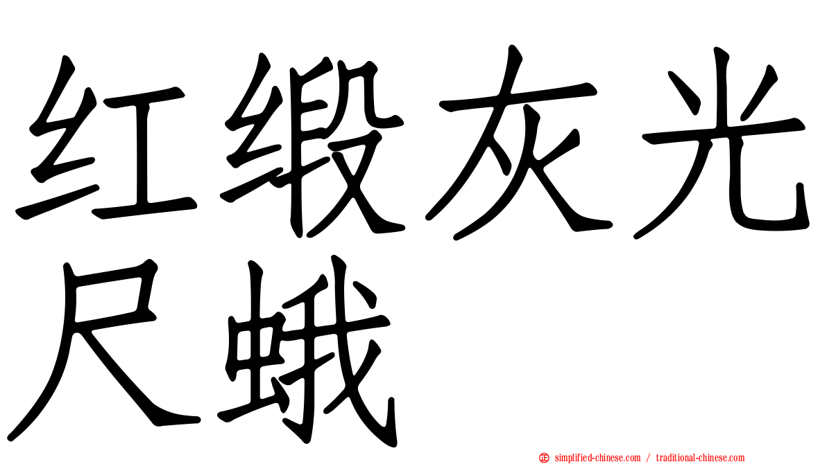 红缎灰光尺蛾