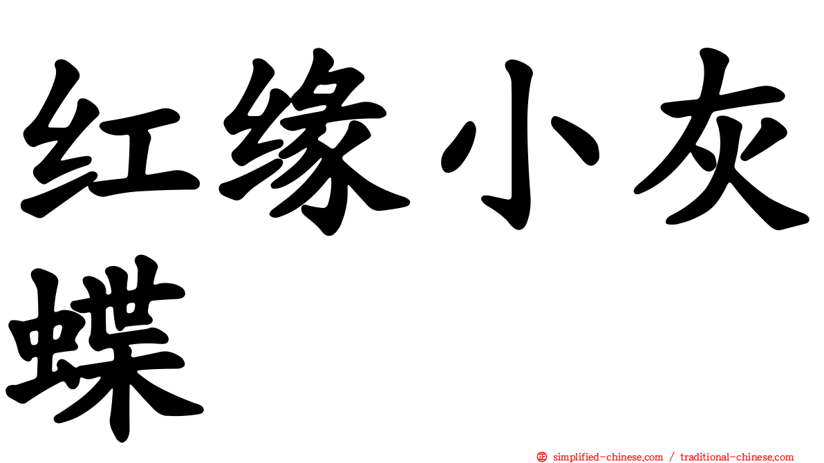 红缘小灰蝶