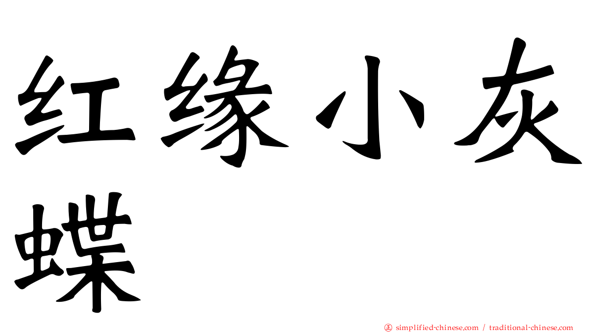 红缘小灰蝶