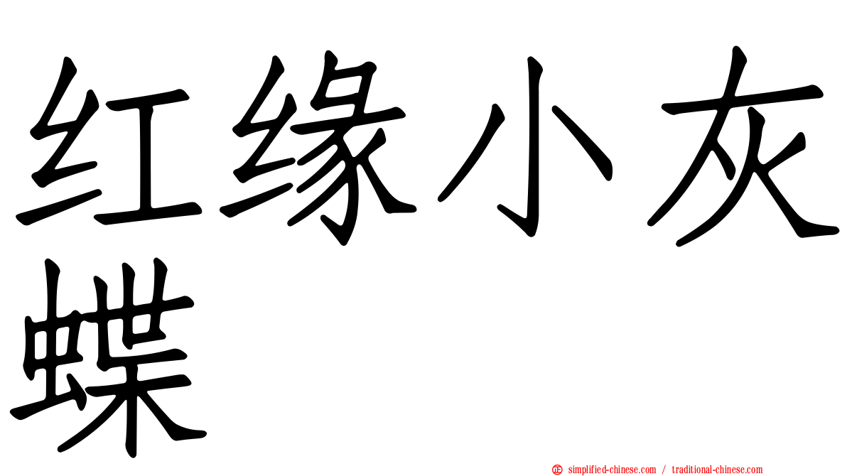 红缘小灰蝶
