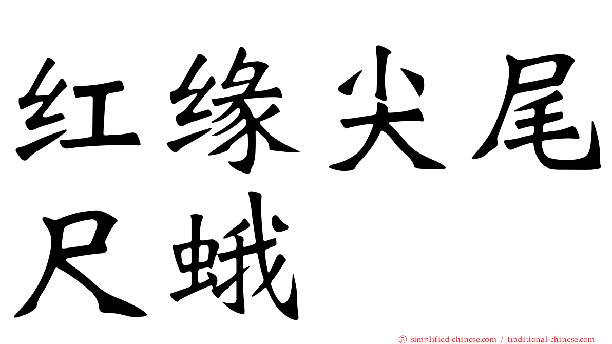 红缘尖尾尺蛾
