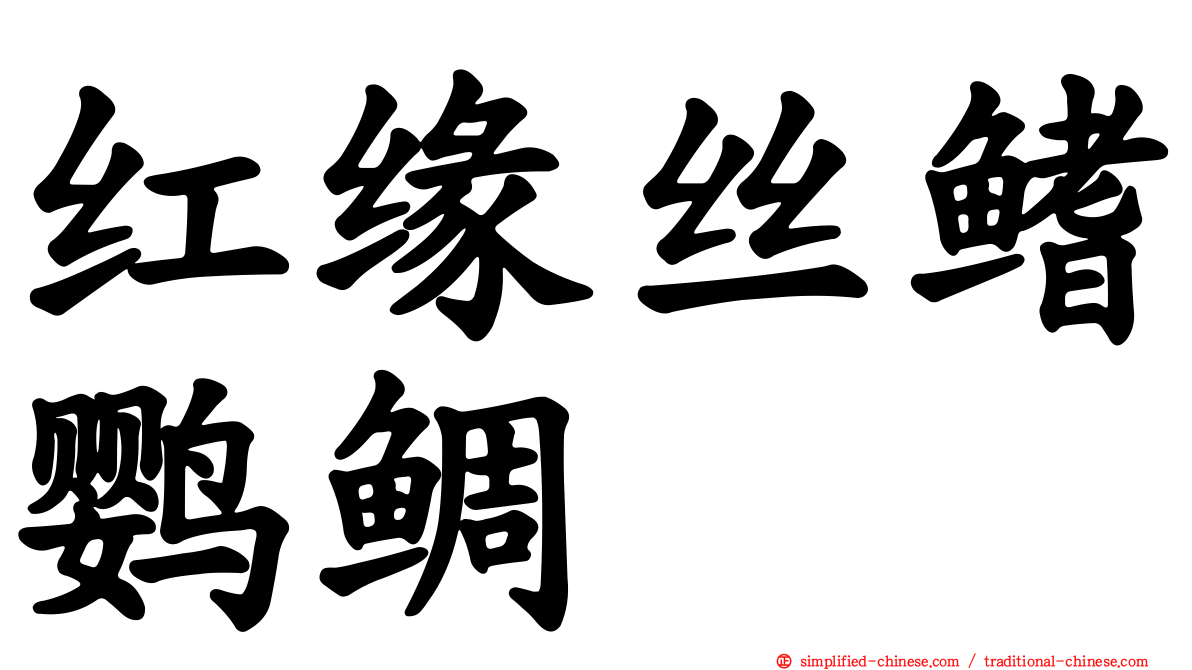 红缘丝鳍鹦鲷
