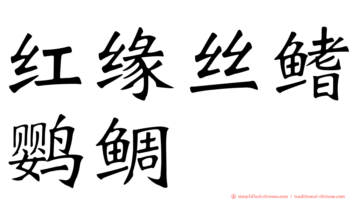 红缘丝鳍鹦鲷