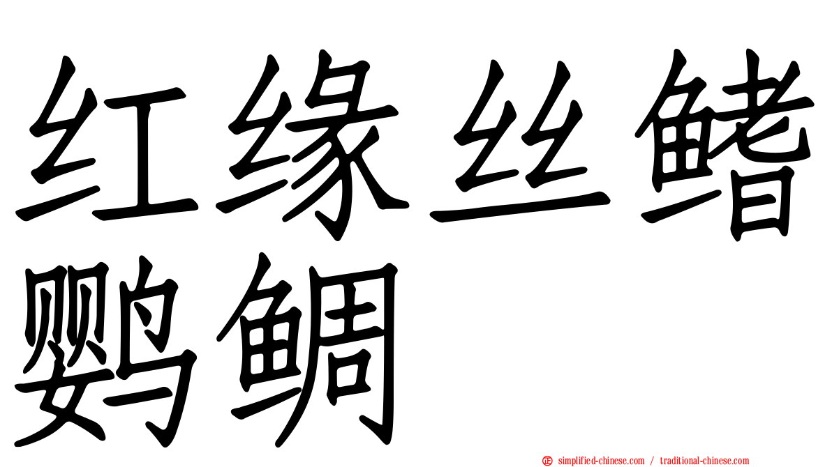 红缘丝鳍鹦鲷