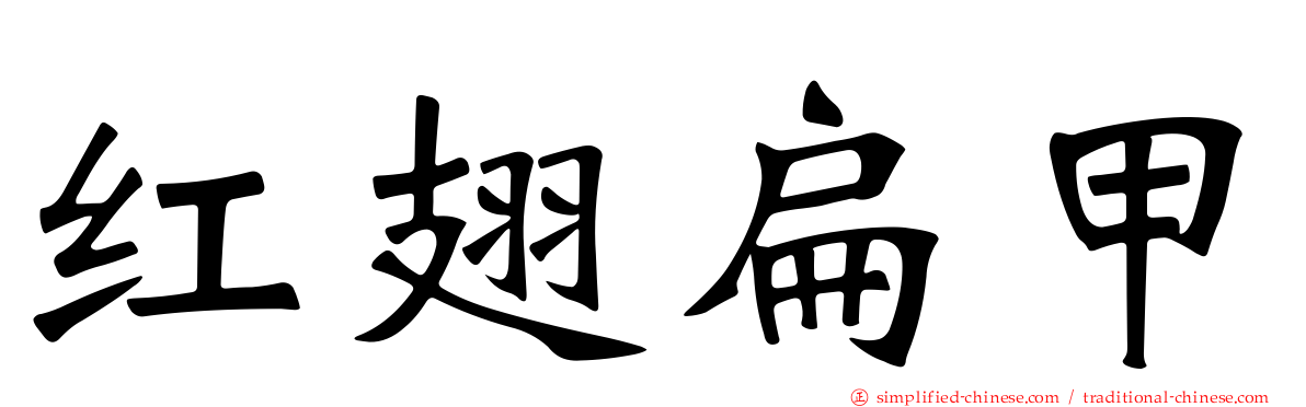 红翅扁甲