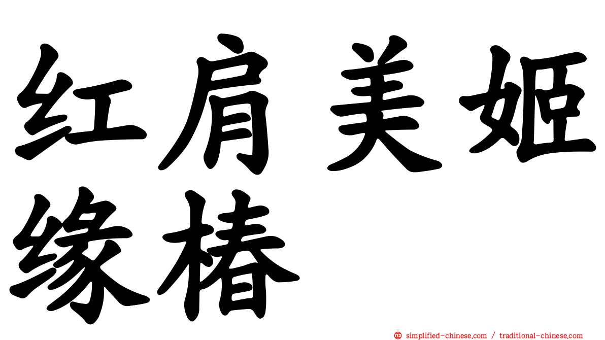 红肩美姬缘椿