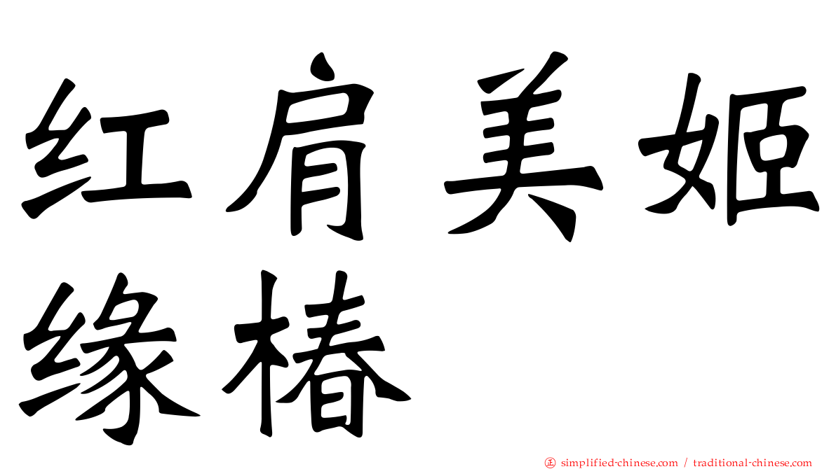 红肩美姬缘椿