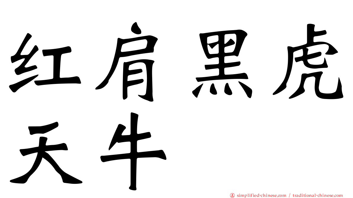 红肩黑虎天牛