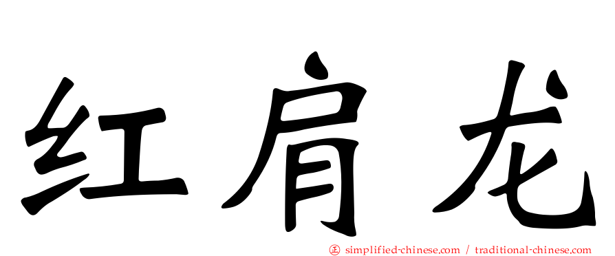 红肩龙