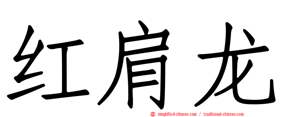 红肩龙