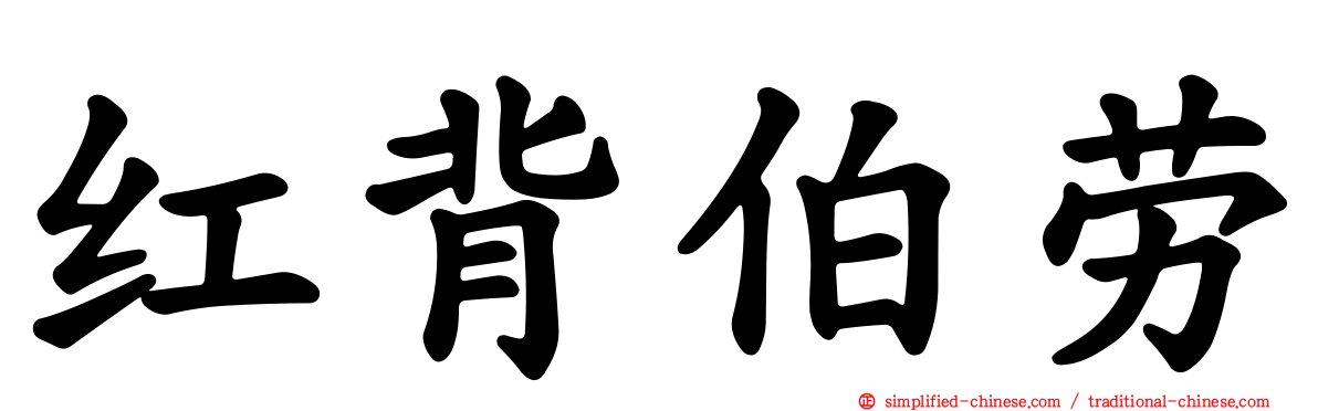 红背伯劳