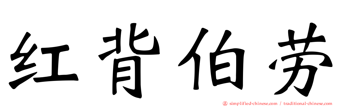 红背伯劳