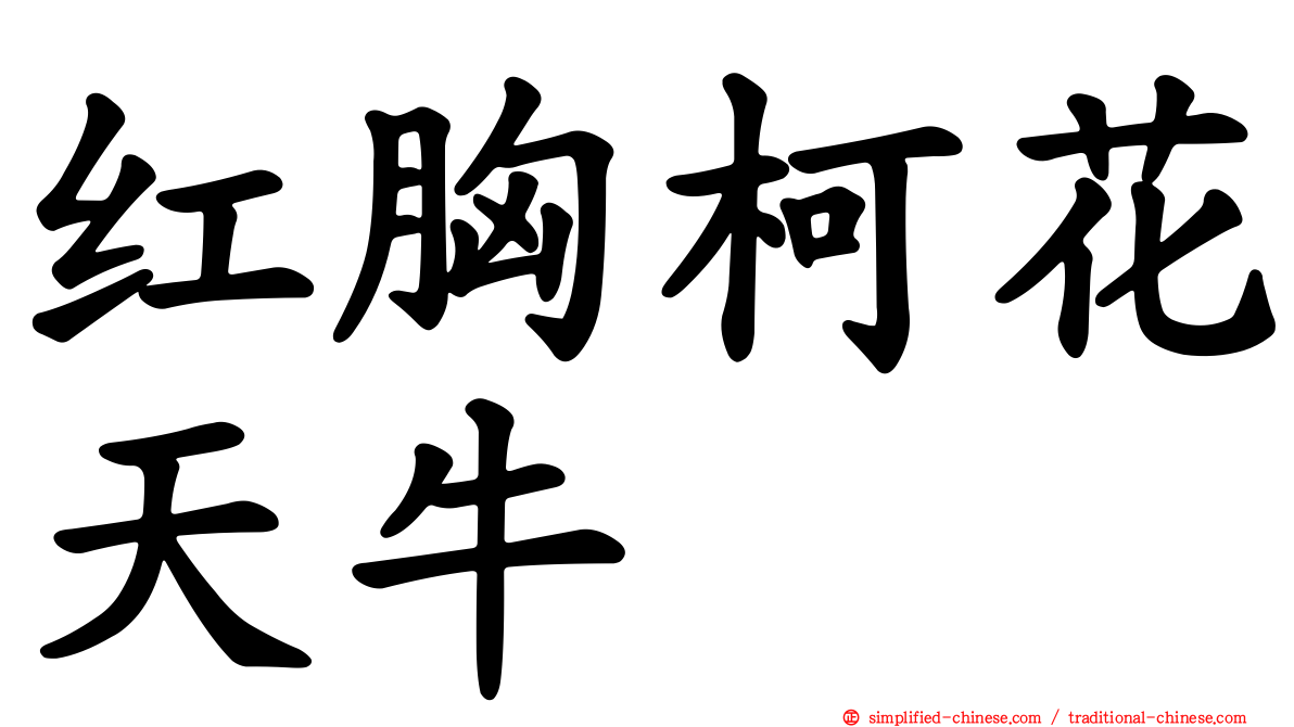 红胸柯花天牛