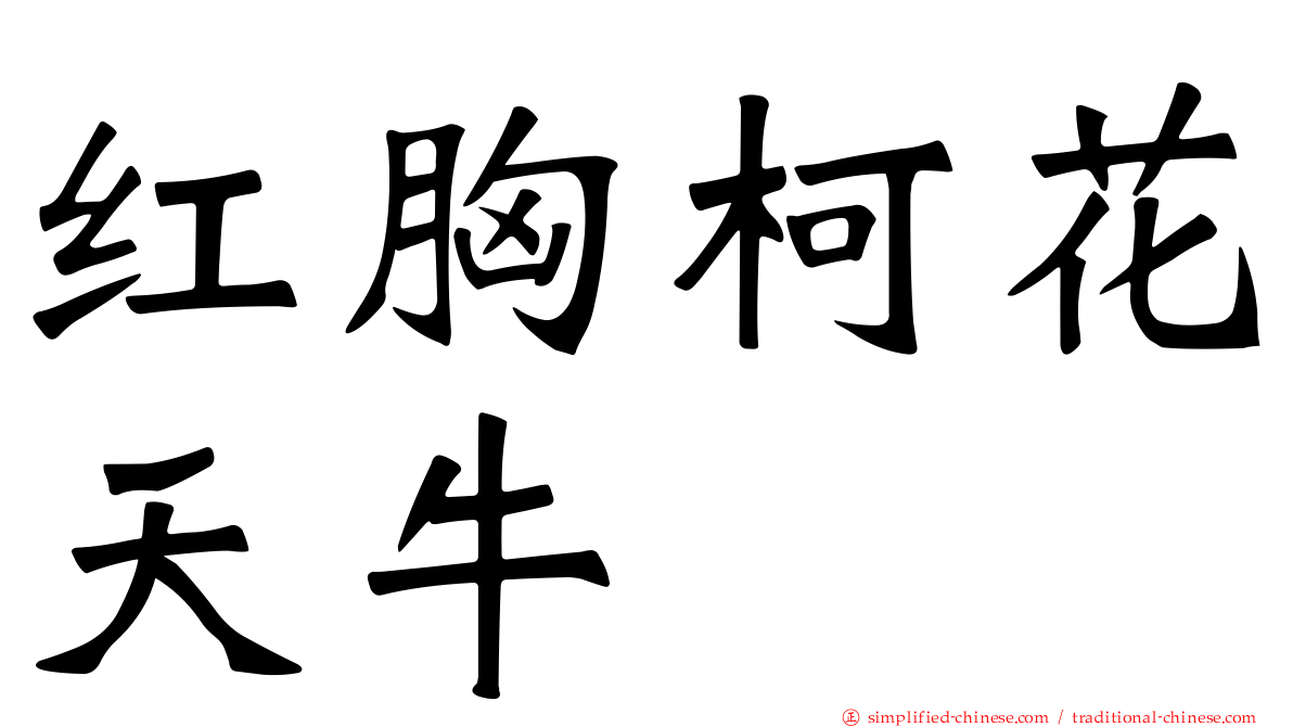 红胸柯花天牛