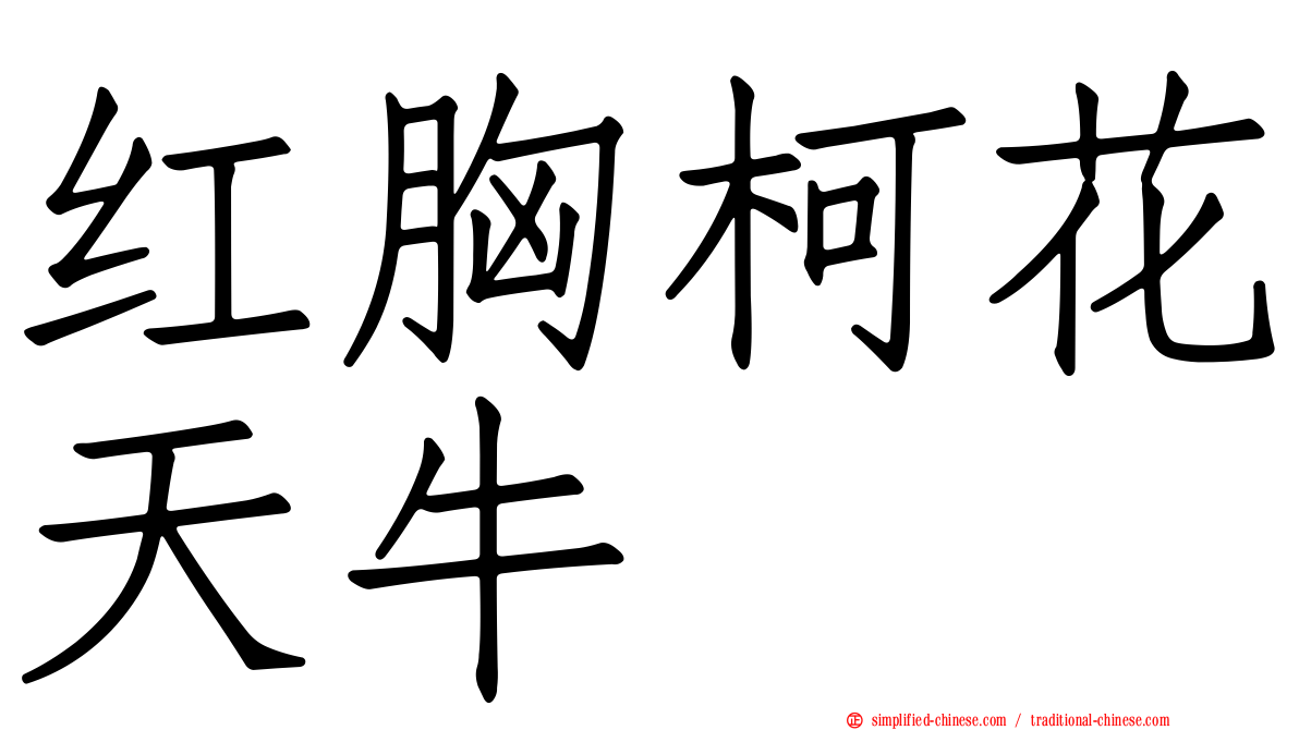 红胸柯花天牛