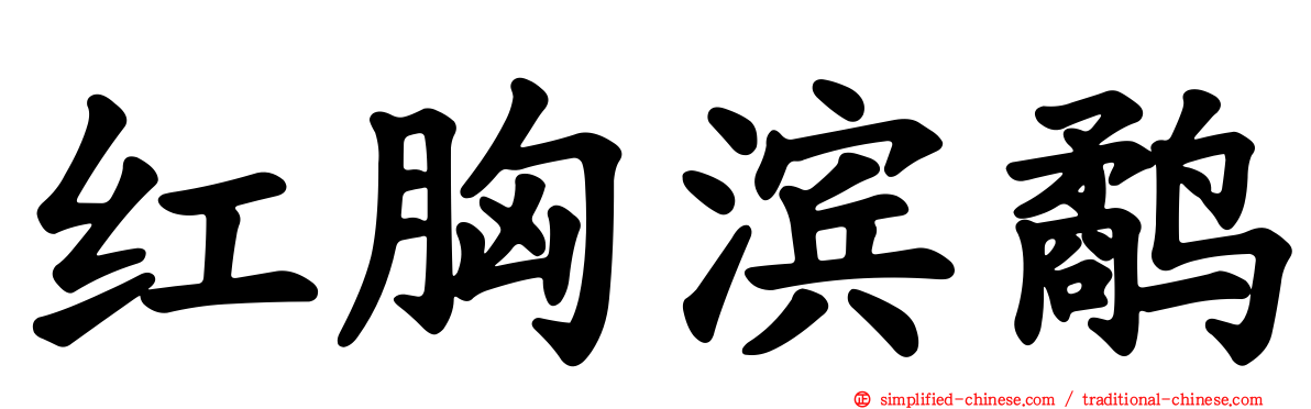 红胸滨鹬