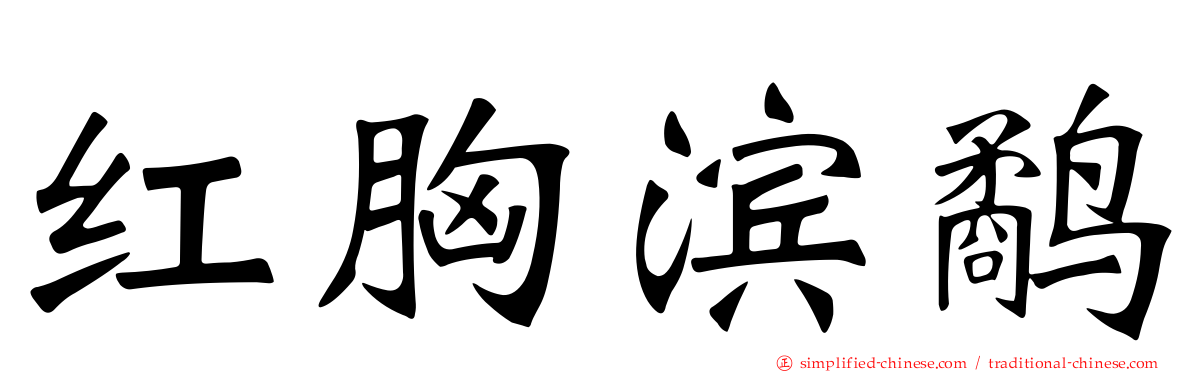 红胸滨鹬