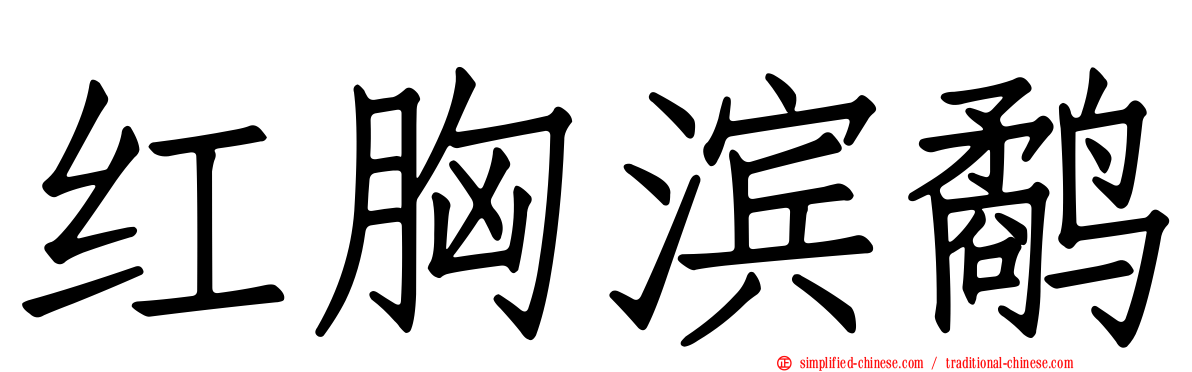红胸滨鹬