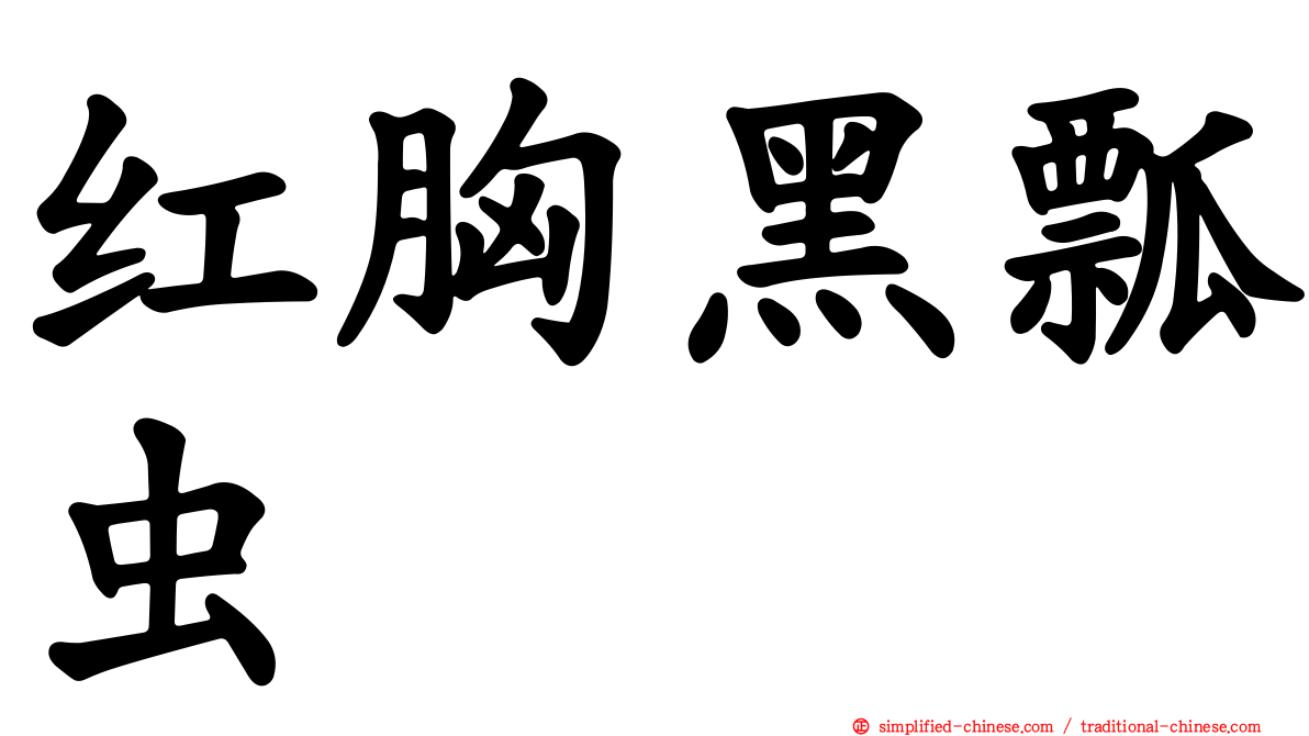 红胸黑瓢虫