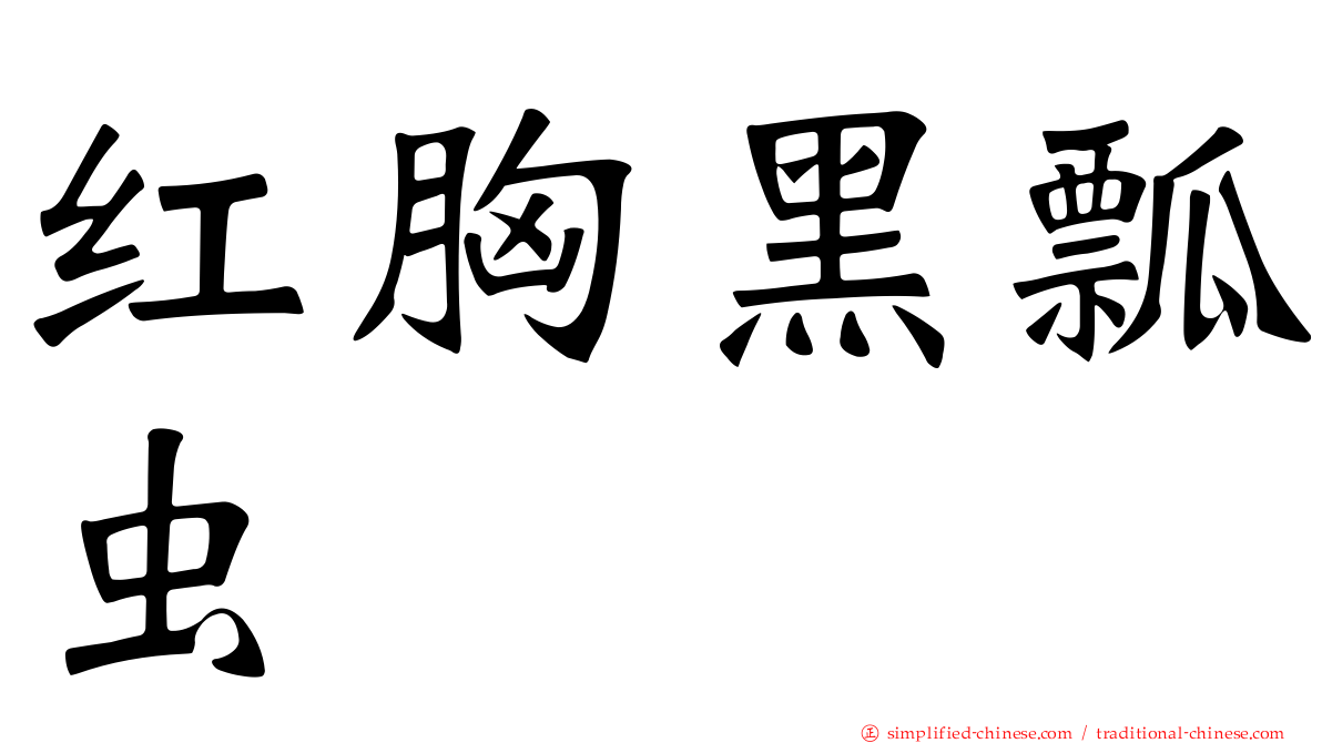红胸黑瓢虫