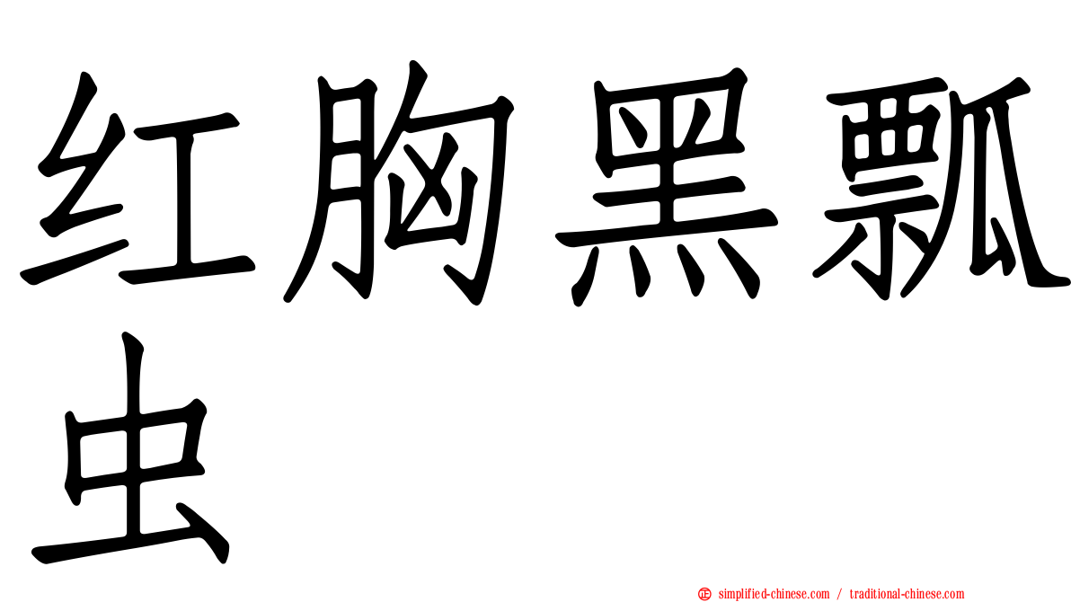 红胸黑瓢虫
