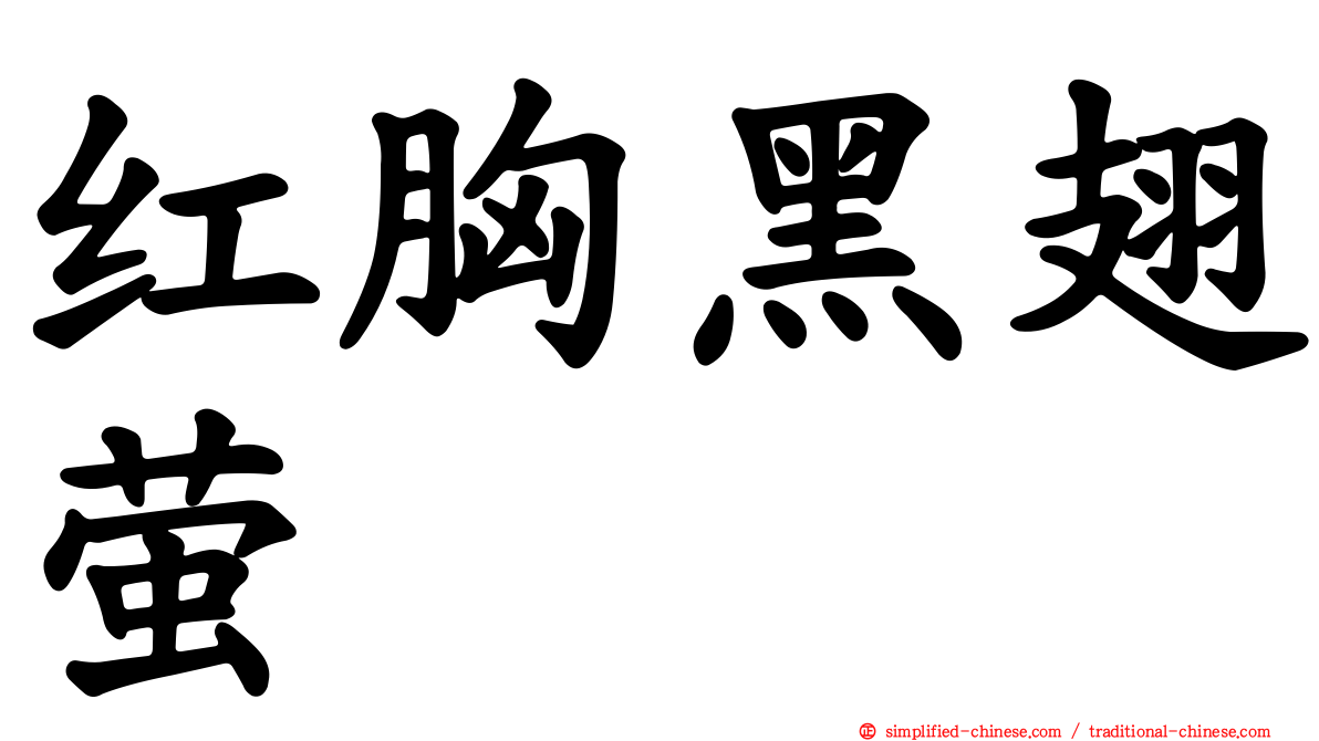 红胸黑翅萤