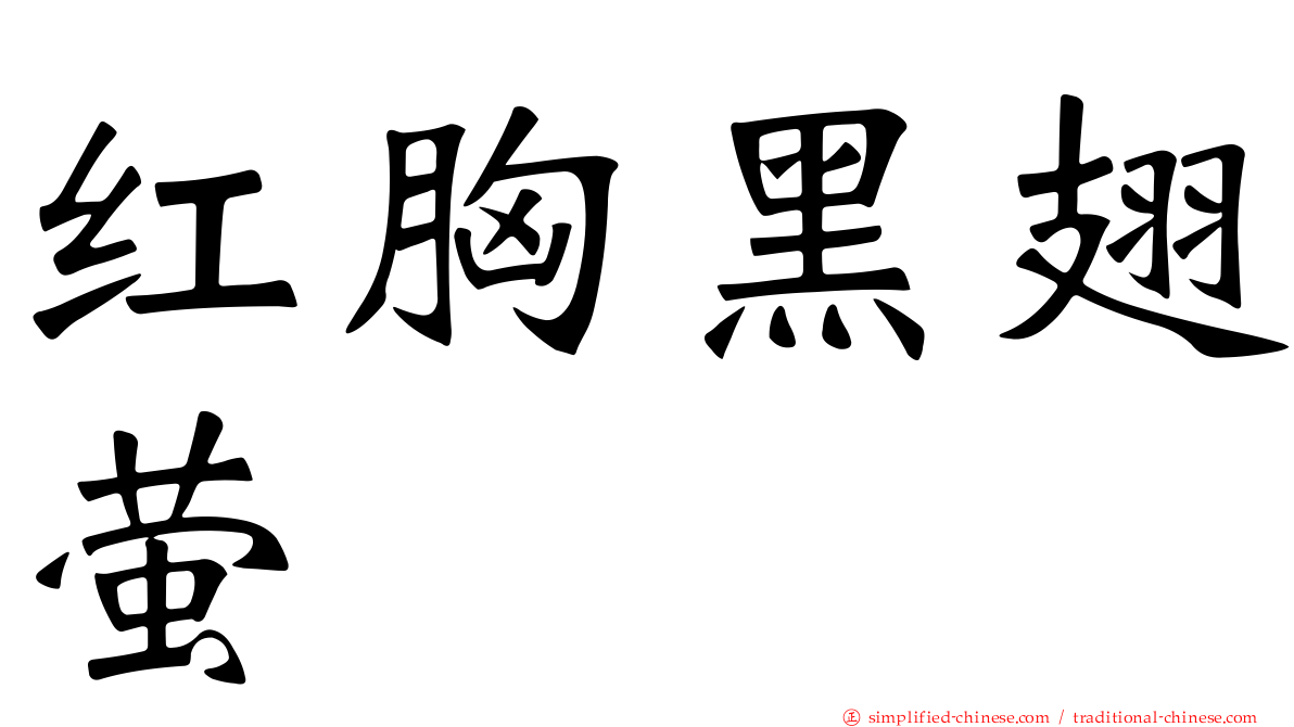 红胸黑翅萤