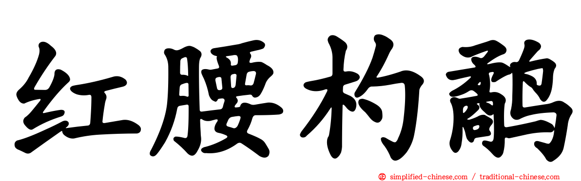 红腰杓鹬