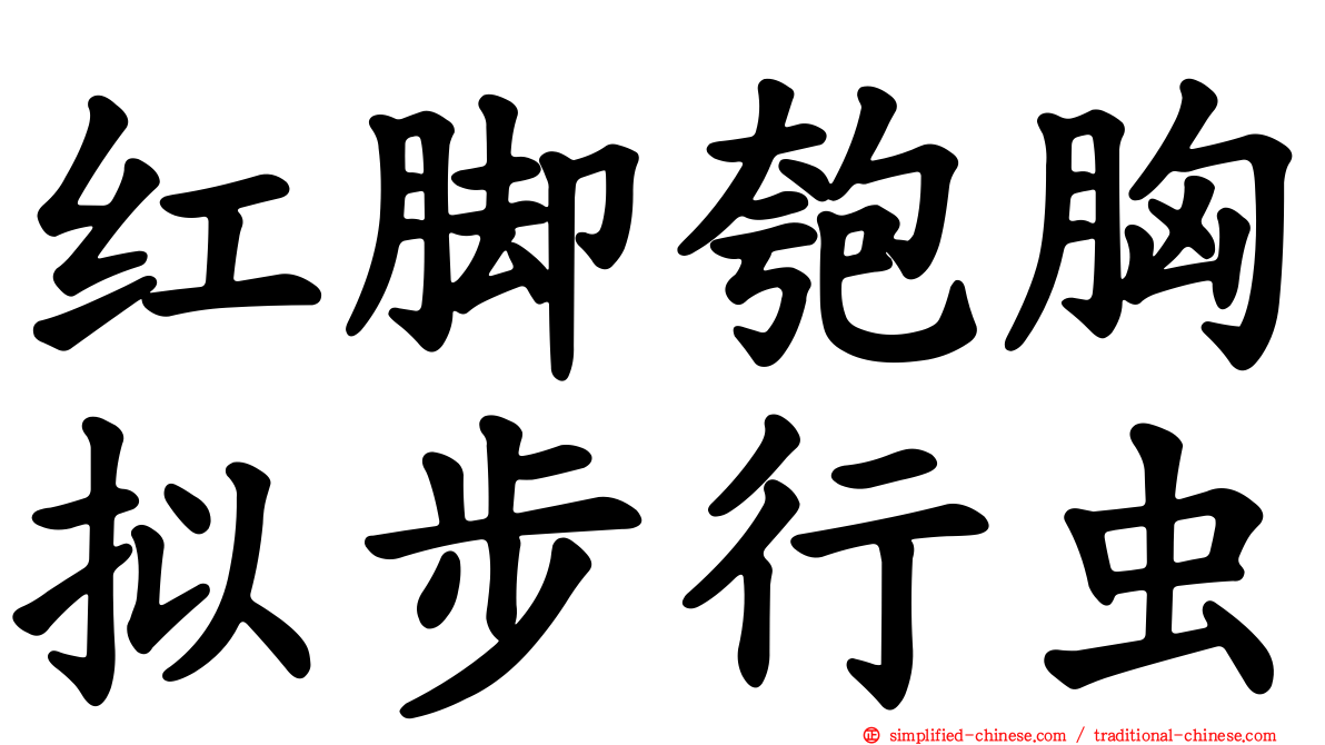 红脚匏胸拟步行虫
