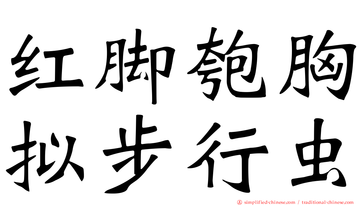 红脚匏胸拟步行虫