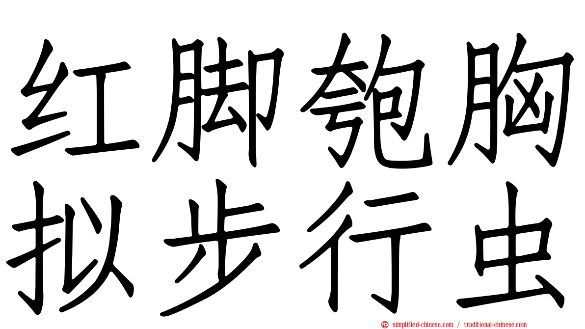 红脚匏胸拟步行虫