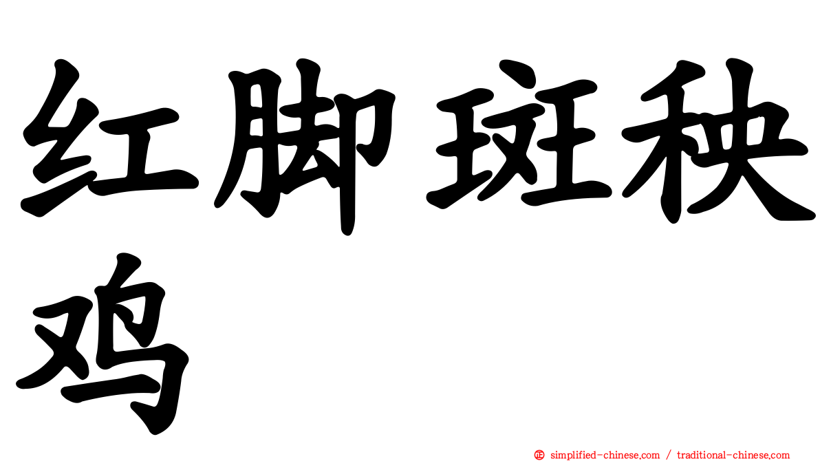 红脚斑秧鸡