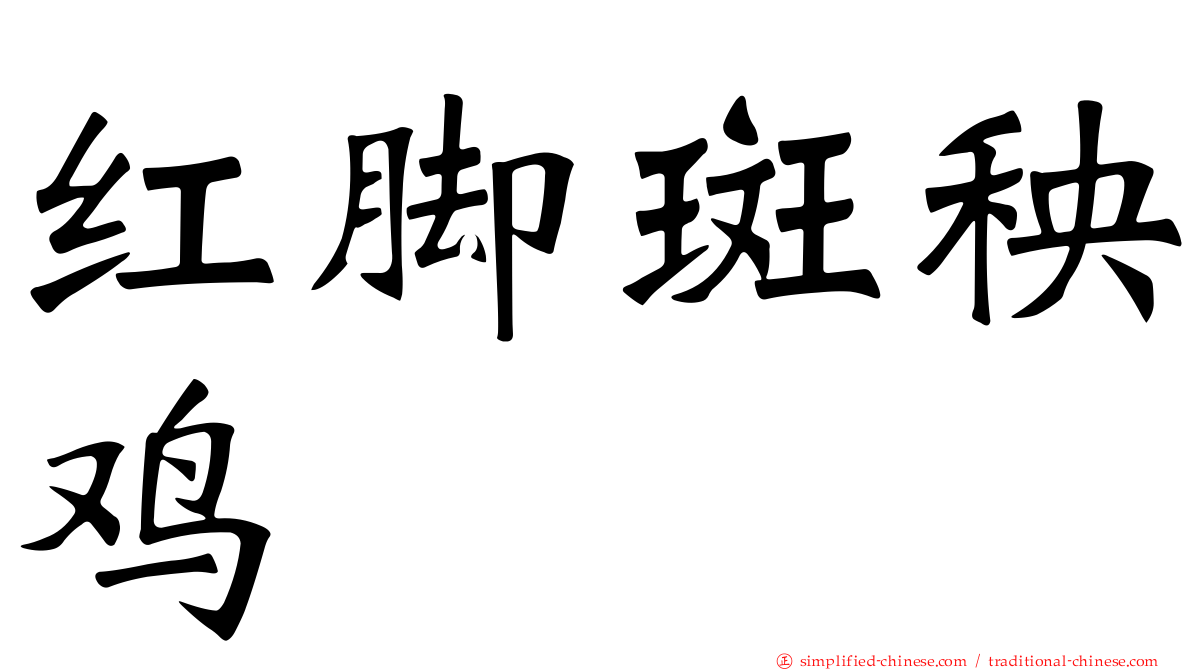 红脚斑秧鸡