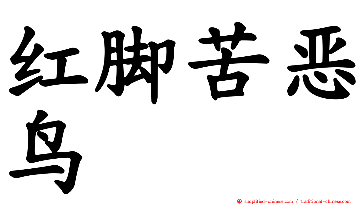 红脚苦恶鸟