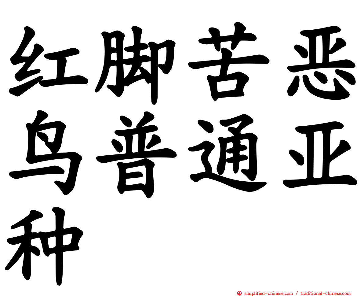 红脚苦恶鸟普通亚种