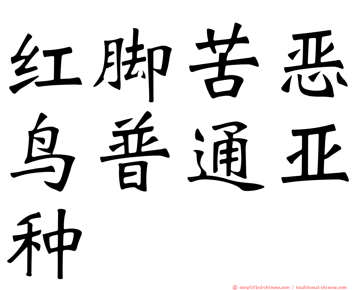 红脚苦恶鸟普通亚种