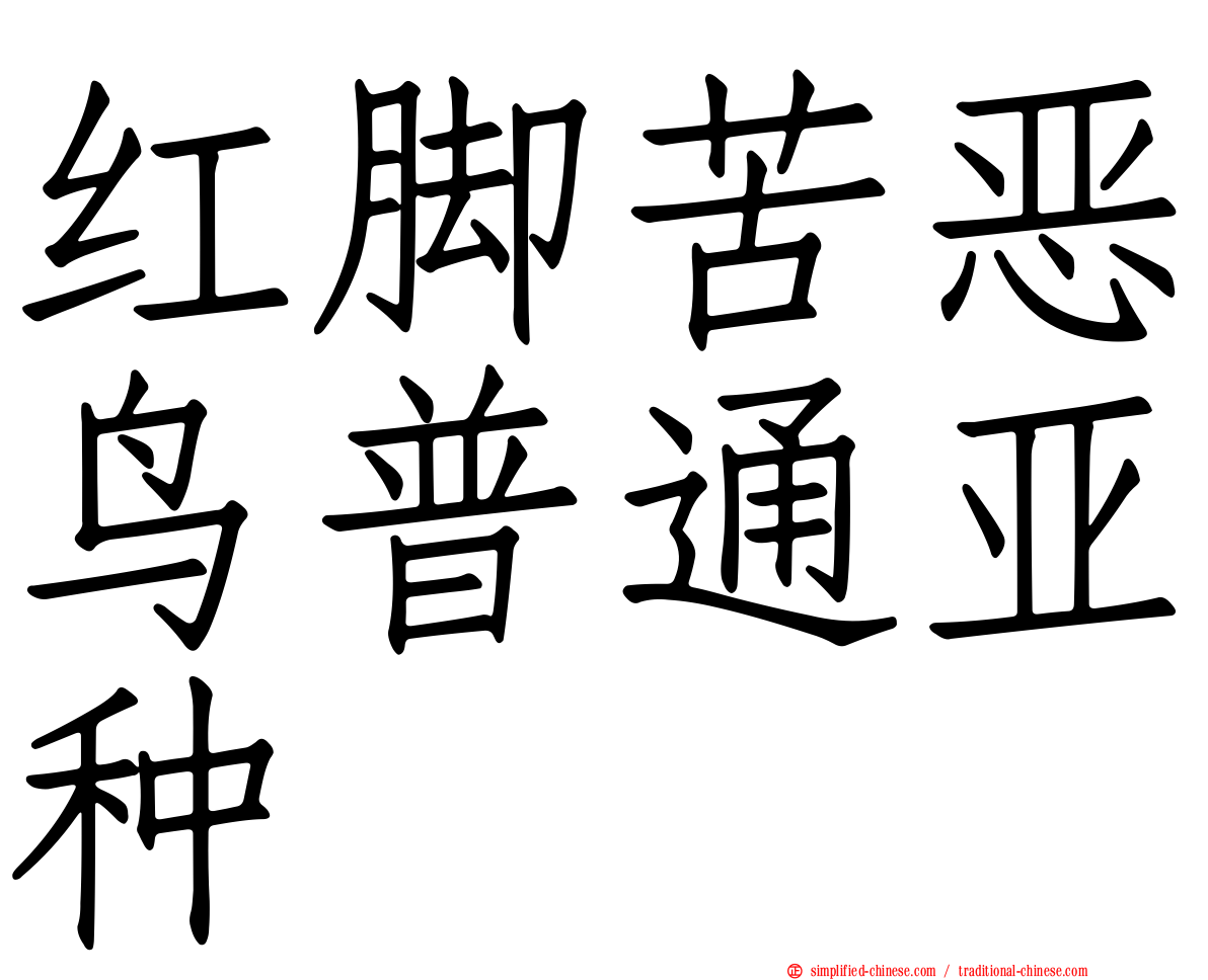 红脚苦恶鸟普通亚种