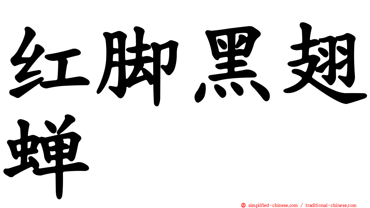 红脚黑翅蝉