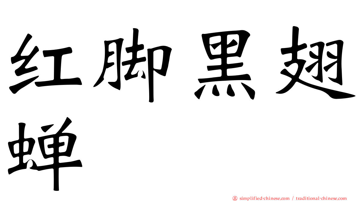 红脚黑翅蝉