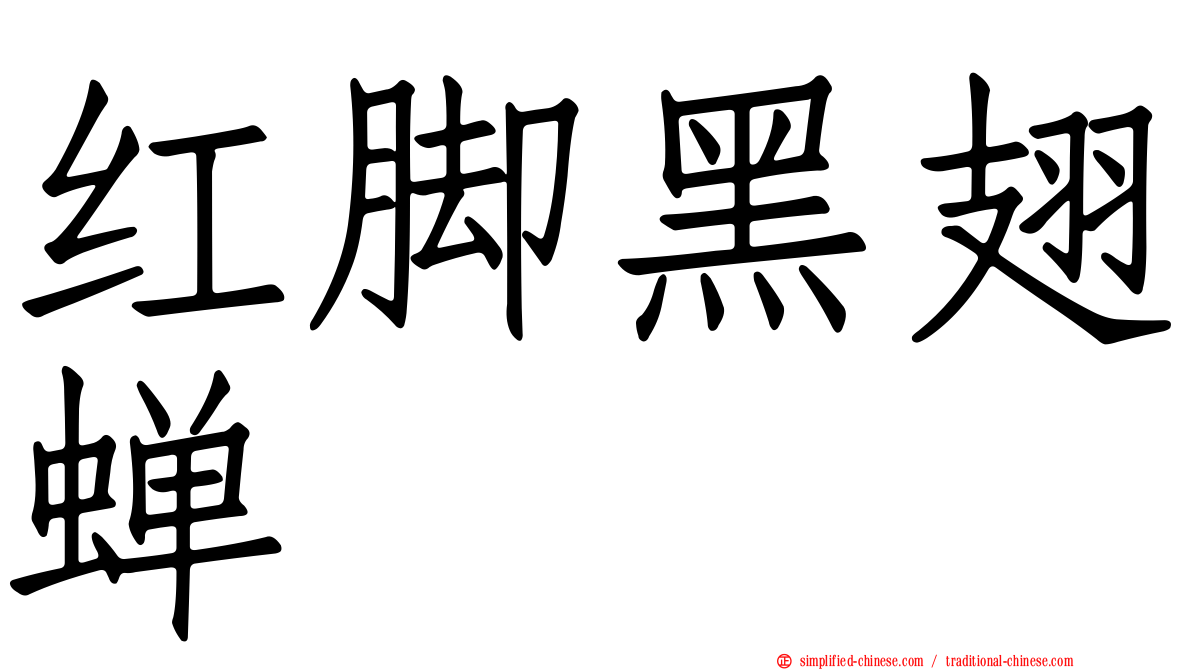红脚黑翅蝉