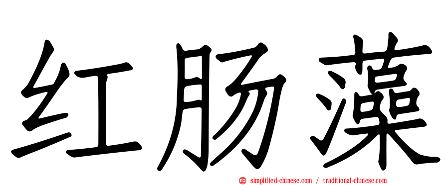 红肠藻