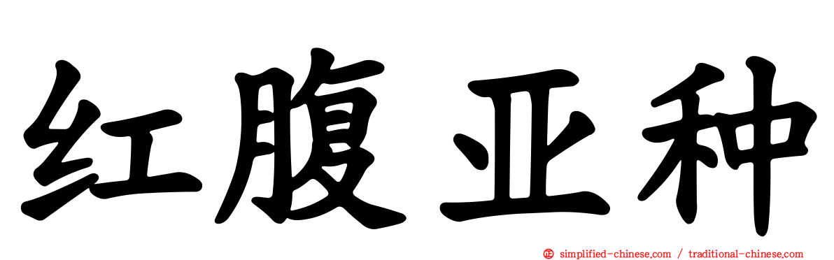 红腹亚种